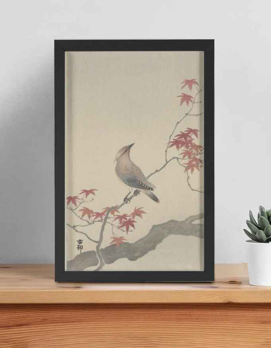 Japanese Waxwing on a Maple Branch – Ohara Koson Framed Poster